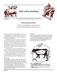 Internal Parasites in Cattle - Iowa Beef Center