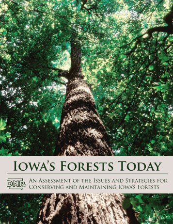 IOwA'S FOREStS TOdAy - Iowa Department of Natural Resources