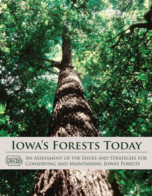 IOwA'S FOREStS TOdAy - Iowa Department of Natural Resources