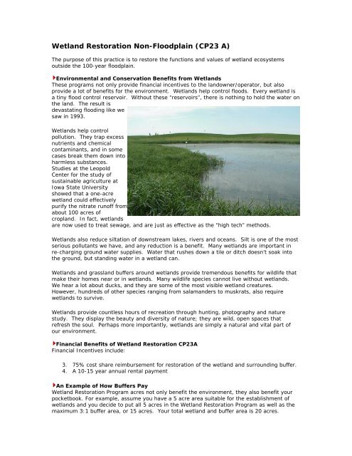 Wetland Restoration Non-Floodplain (CP23 A) - Iowa Department of ...