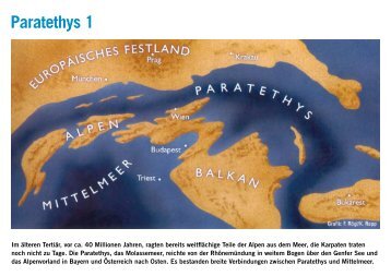 Karten zur Entwicklung der Paratethys - Danube Box