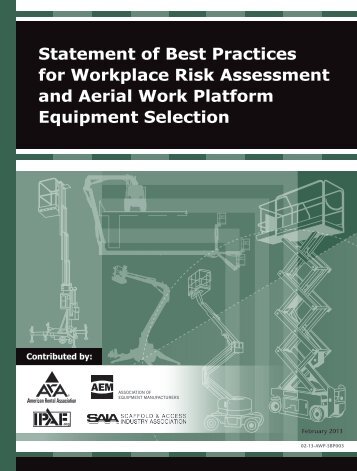 Statement of Best Practices for Workplace Risk Assessment ... - IPAF