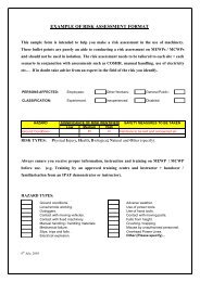 EXAMPLE OF RISK ASSESSMENT FORMAT - Ipaf