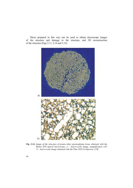 MICRO-STRUCTURE ANALYSIS OF PLANT TISSUES - Lublin