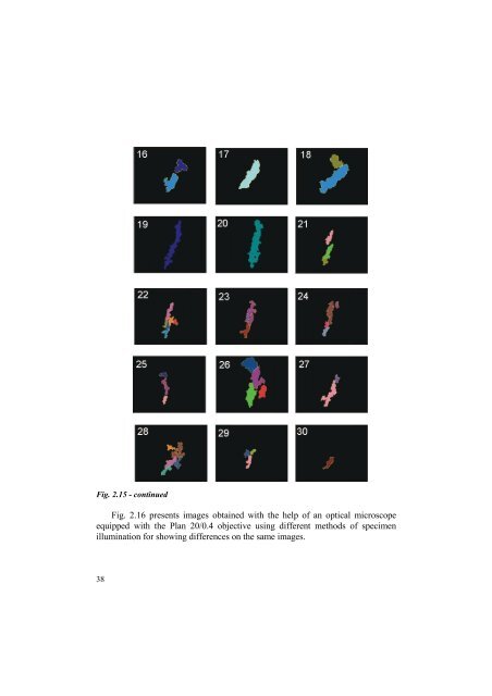 MICRO-STRUCTURE ANALYSIS OF PLANT TISSUES - Lublin