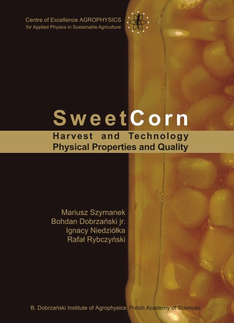 Sweetcorn Harvest And Technology Physical Properties Lublin