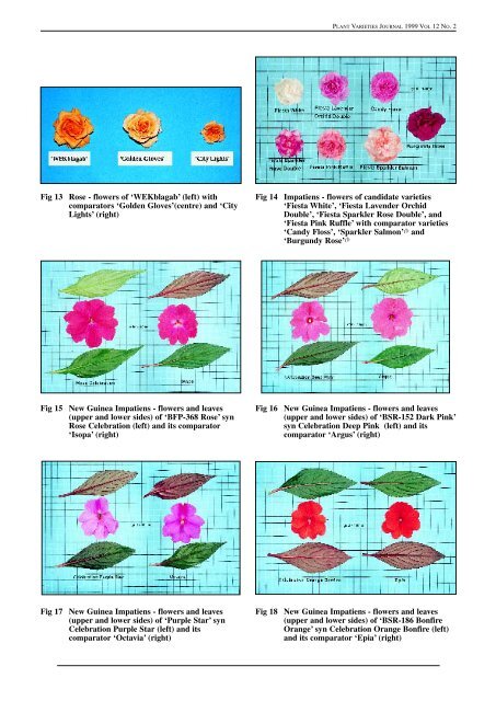 56. Volume 12- Number 2 - IP Australia