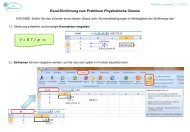 Handout zur Excel-EinfÃ¼hrung - Institut fÃ¼r Physikalische Chemie