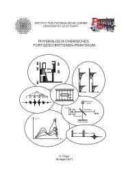 Skript Diplom - Institut fÃ¼r Physikalische Chemie - UniversitÃ¤t Stuttgart