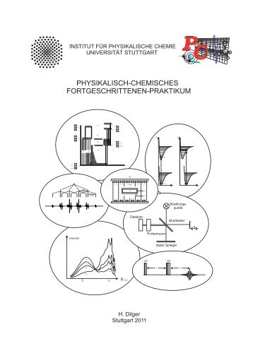 Skript Diplom - Institut fÃ¼r Physikalische Chemie - UniversitÃ¤t Stuttgart