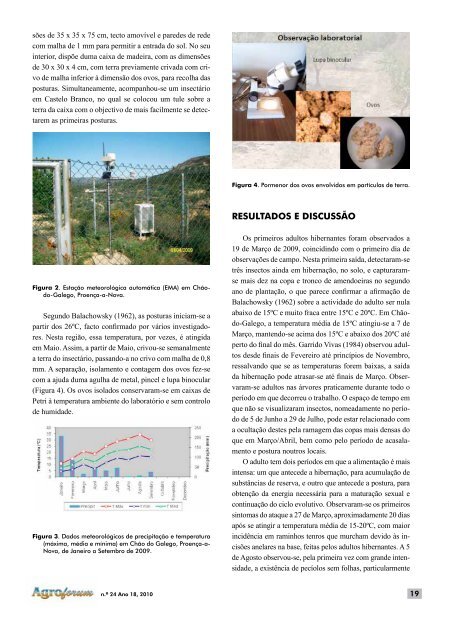 N.Âº 24 - PDF - Instituto PolitÃ©cnico de Castelo Branco