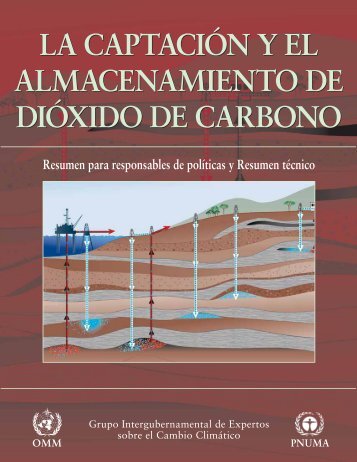 La captaciÃ³n y el almacenamiento de diÃ³xido de carbono - IPCC