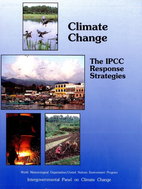 Working Group III: The IPCC Response Strategies