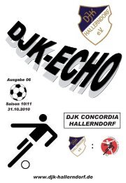 Echo - SV Bubenreuth - DJK Hallerndorf