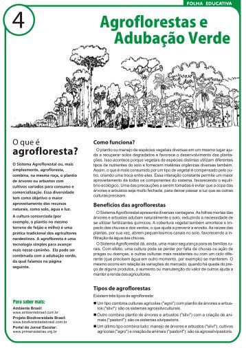 folha 04 agrofloresta e adubacao.cdr - Ipcp.org.br