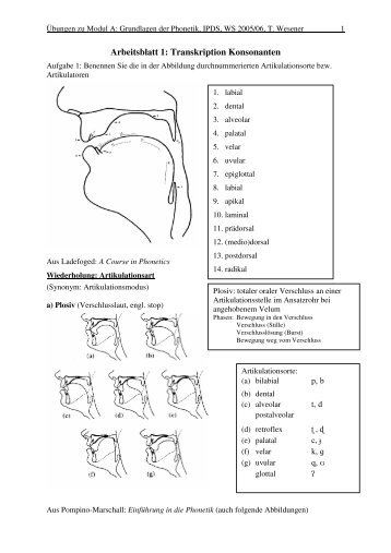Arbeitsblatt 1: Transkription Konsonanten - IPdS in Kiel