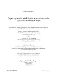 Topographische Modelle für Anwendungen in Hydraulik und ...
