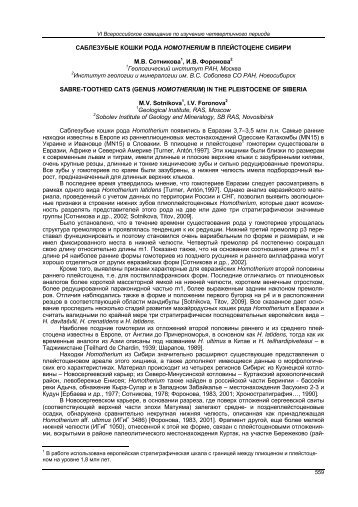 САБЛЕЗУБЫЕ КОШКИ РОДА HOMOTHERIUM В ... - ИНГГ СО РАН