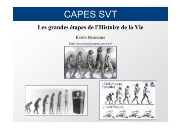 Les grandes étapes de l'Histoire de la Vie