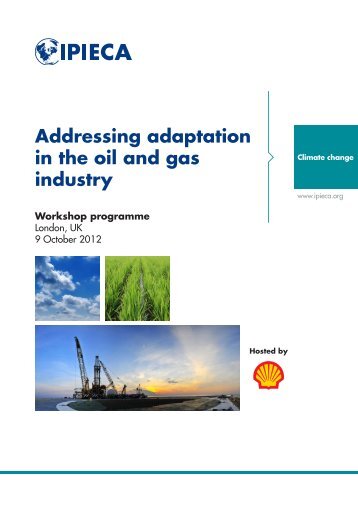 Adaptation workshop programme v3 - IPIECA