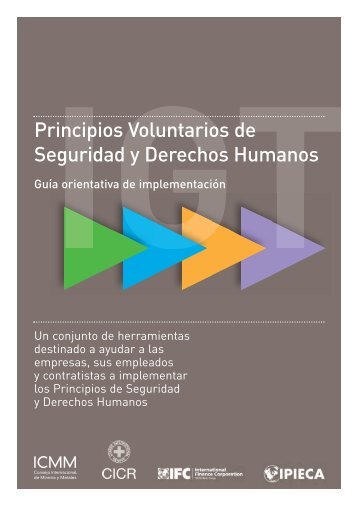 Principios Voluntarios de Seguridad y Derechos Humanos GuÃ­a ...