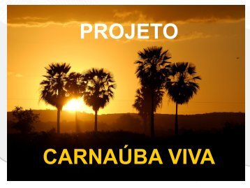 PROJETO CARNAÃBA VIVA - IPIECA