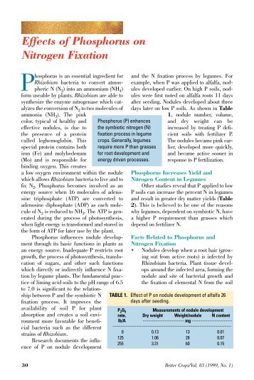 Effects of Phosphorus on Nitrogen Fixation