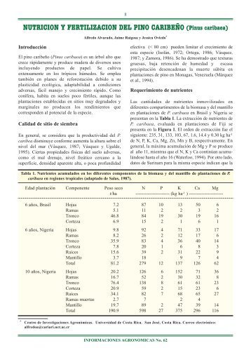 NUTRICION Y FERTILIZACION DEL PINO CARIBEÑO (Pinus ...