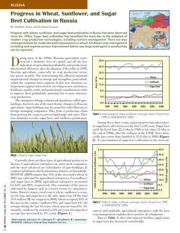 Progress in Wheat, Sunflower, and Sugar Beet Cultivation in Russia