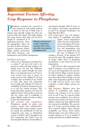 Important Factors Affecting Crop Response to Phosphorus