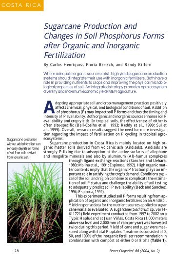 Sugarcane Production and Changes in Soil Phosphorus Forms after ...