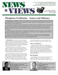Phosphorus Fertilization - Sources and Efficiency