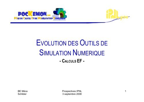 evolution des outils de simulation numerique - IPNL - IN2P3