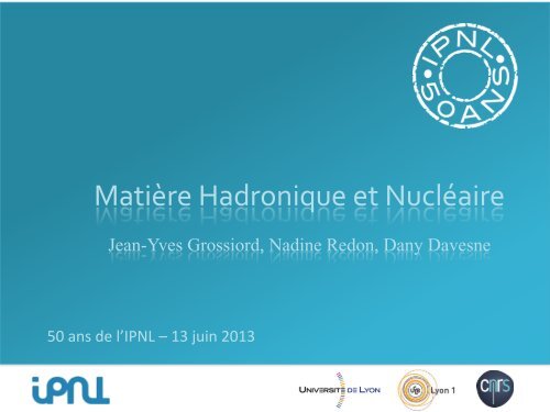 MatiÃ¨re Hadronique et NuclÃ©aire - IPNL - IN2P3