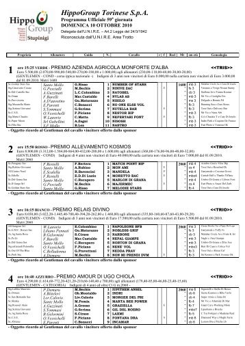 HippoGroup Torinese S.p.A. - ippodromo di Vinovo