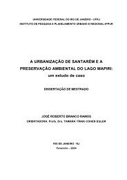 dissertacao dez 2006 - Ippur - UFRJ