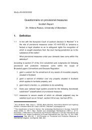 Questionnaire on provisional measures 1. Definition