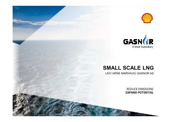 SMALL SCALE LNG - NTNU