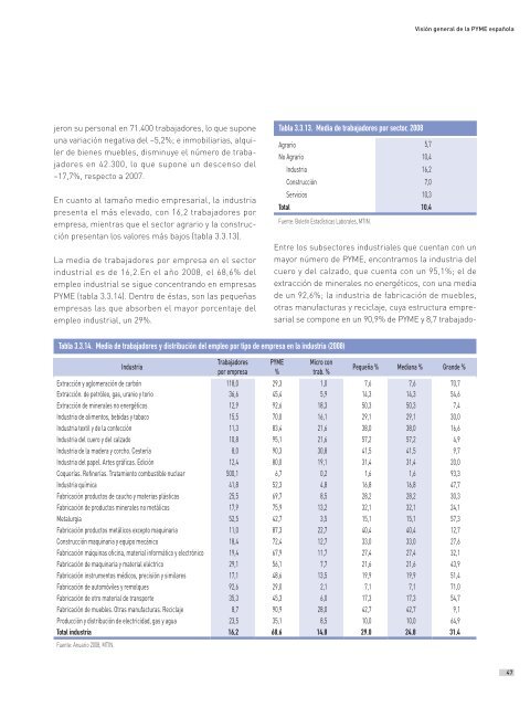 Informe sobre la PYME 2010 - DirecciÃ³n General de PolÃ­tica de la ...