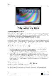 D09 Polarisation