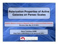 Polarization Properties of Active Galaxies on Parsec Scales
