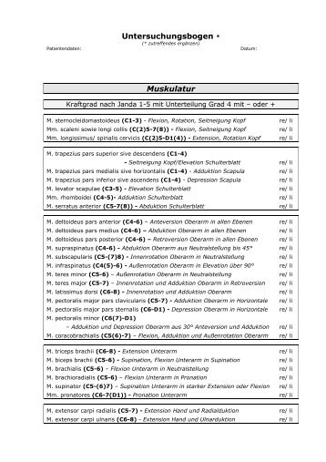 Der Untersuchungsbefund Muskulatur