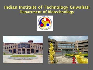 Presentation by IIT Guwahati