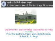 Annexure 8 - Presentation by IIT Roorkee