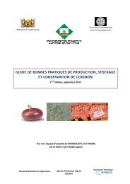 Guide bonne pratique production d'oignon qualitÃ©_VF_4_2411012[1]