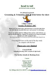 HEAD TO TAIL - Irish Setters UK & Ireland