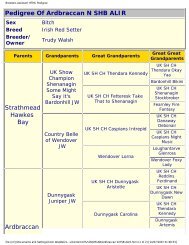 Breeders Assistant HTML Pedigree - Irish Setters UK & Ireland