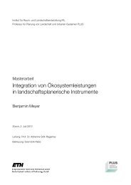 Masterarbeit Benjamin Meyer - Institut fÃ¼r Raum - ETH ZÃ¼rich