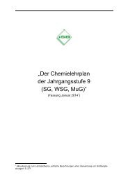 „Der Chemielehrplan der Jahrgangsstufe 9 (SG, WSG ... - Lehrpläne