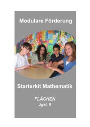 5.3.3 FlÃ¤chen (Ã¼berarbeitete Fassung 2011) - Bayerische Mittelschule